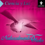 Imagen NATURALMENTE FIELES  (Conductas monogámicas)