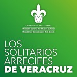 Imagen LOS SOLITARIOS ARRECIFES DE VERACRUZ