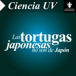 Imagen LAS TORTUGAS JAPONESAS NO SON DE JAPÓN