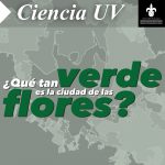 Imagen ¿QUÉ TAN VERDE ES LA CIUDAD DE LAS FLORES?