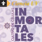 Imagen CULTIVO DE CÉLULAS INMORTALES[i]