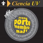 Imagen TRANSPORTE MEMBRANAL[i]