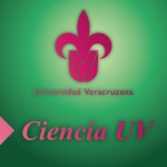 Imagen PILAS Y BATERÍAS USADAS  (¿Por qué acopiarlas?)