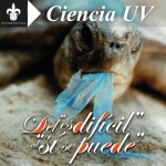 Imagen DEL “ES DIFÍCIL” AL “SÍ SE PUEDE”  (Acciones sencillas de conservación)