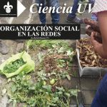 Imagen ORGANIZACIÓN SOCIAL EN REDES  (La Red de Huertos UV)