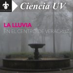 Imagen LA LLUVIA EN EL CENTRO DE VERACRUZ