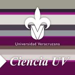 Imagen LÍNEAS PARALELAS