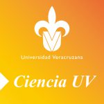 Imagen TRANSDISCIPLINARIEDAD