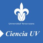 Imagen NO TODO LO QUE BRILLA ES VERDE.