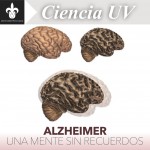 Imagen Alzheimer, una mente sin recuerdos