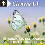 Imagen Restauración ecológica: una esperanza para la ciudad.
