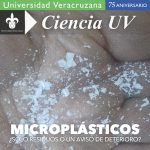 Imagen Microplásticos, ¿sólo residuos o un aviso de deterioro?