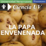 Imagen La papa envenenada.