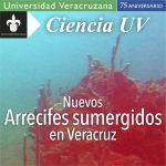 Imagen Nuevos arrecifes sumergidos en Veracruz   