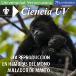 Imagen La reproducción en hembras de mono aullador de manto.  