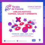 Imagen Martes 8 de junio charla virtual: Abejas nativas: comida, salud y ambiente.