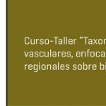 Imagen Curso-Taller “Taxonomía de plantas vasculares, enfocado a estudios regionales sobre biodiversidad vegetal.