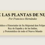 Imagen “Historia de las plantas de la Nueva España de Francisco Hernández”, ahora disponible en línea.