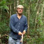 Imagen Oportunidad de participación en Proyecto. Evaluación y Monitoreo de los Procesos de Degradación en la Selva Maya