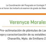 Imagen Invitación al examen de grado de Maestría de Verenyce Morales Ruiz