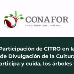 Imagen CITRO participará en la XXI Semana Nacional de Divulgación de la Cultura Forestal (SNDCF) 2019