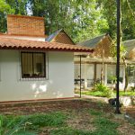 Imagen Décimo Aniversario del Orquidario