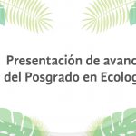 Imagen Invitación al Seminario de Presentación de Avances de Tesis del Posgrado en Ecología Tropical del CITRO