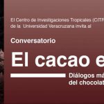 Imagen Conversatorio El cacao en México. Diálogos más allá del chocolate