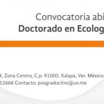 Imagen Convocatoria abierta al Doctorado en Ecología Tropical del CITRO.