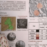Imagen Jhoseline Gutiérrez Zúñiga, alumna de la Maestría en Ecología Tropical obtiene tercer lugar en el concurso de cartel del XVII Congreso para el estudio y conservación de las aves
