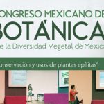 Imagen Thorsten Krömer del CITRO organizó un simposio sobre plantas epífitas en el XXI Congreso Mexicano de Botánica en Aguascalientes
