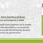 Imagen Invitación al Seminario El perfil transcriptómico de la semilla de Ceiba aesculifolia y su asociación con el estado de hidratación durante el proceso de germinación