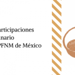 Imagen Videos de las participaciones realizadas en el marco del Seminario “Normatividad de PFNM de México: Un Análisis a Múltiples Voces”