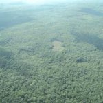 Imagen Selva Maya, importante para biodiversidad y mitigación del cambio climático