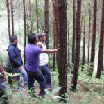 Imagen Instituciones y organizaciones civiles impulsan iniciativa para proteger los bosques