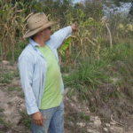 Imagen Lorena Sánchez Morales se titula como Doctora en Ecología Tropical
