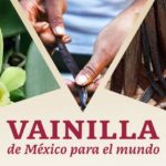 Imagen “Día de la Vainilla”  Especie mexicana de importancia mundial