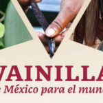 Imagen “Día de la Vainilla” 16 de diciembre de 2020