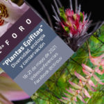 Imagen Citro invita a foro sobre plantas epífitas 