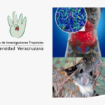 Imagen Invitados a inscribirse al nuevo curso  “Ecología microbiana en vertebrados”