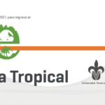Imagen Convocatoria 2021 para ingreso al Doctorado en Ecología Tropical