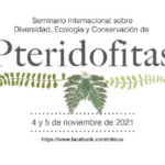 Imagen Invitación al Seminario Internacional