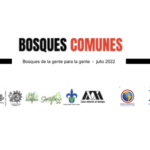 Imagen Boletín “Bosques Comunes” Estudios Rurales y Asesoría Campesina, A.C. (ERA)