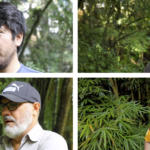 Imagen Convocatoria abierta para el Doctorado en Ecología Tropical