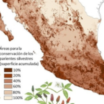 Imagen Nuevo artículo de la Dra. Araceli Aguilar sobre Estrategias de conservación de parientes silvestres de cultivos