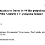 Imagen Egresados de la Maestría en Ecología Tropical del CITRO, publican un nuevo artículo sobre presencia de Metaxenia en la vainilla