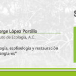 Imagen Seminario institucional ‘’Ecología, ecofisología y restauración de manglares‘’