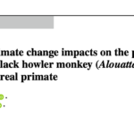 Imagen Académicos de CITRO, Ciencias Básicas e INECOL publican un análisis del impacto del cambio climático sobre la distribución del mono aullador negro, Alouatta pigra