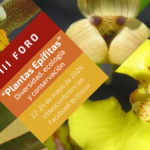 Imagen III Foro Diversidad, Ecología y Conservación de Epífitas