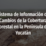 Imagen El Dr. Eddie Ellis, académico de CITRO, en colaboración con David Chacón Castillo e Irving Hernández Gómez crean Sistema de Información de Cambios de la Cobertura Forestal